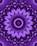 Purple Floral Mandala Pattern Rug