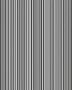 Bold Black White Strips Pattern Rug