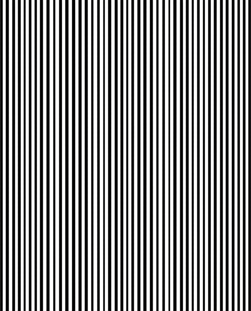 Bold Black White Strips Pattern Rug