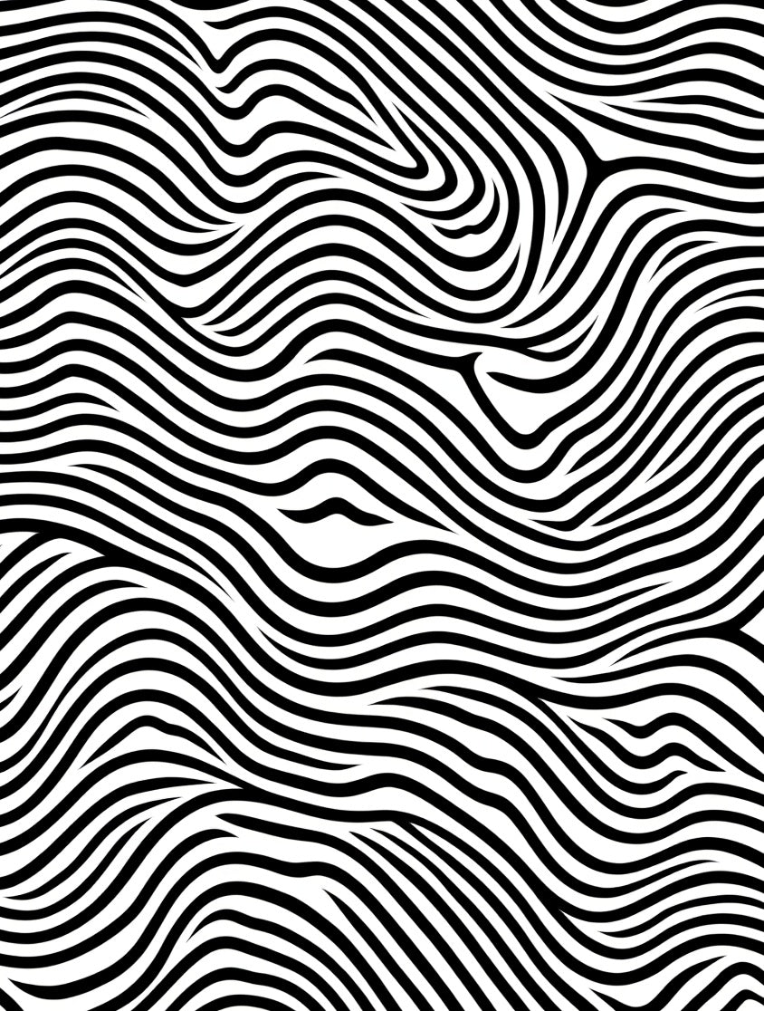 Dynamic Black White Wavy Lines Rug