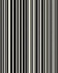 Bold Vertical Stripe Pattern Rug