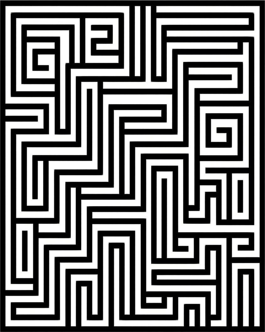 Black White Maze Lines Rug