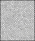 Organic Black White Mesh Pattern Rug