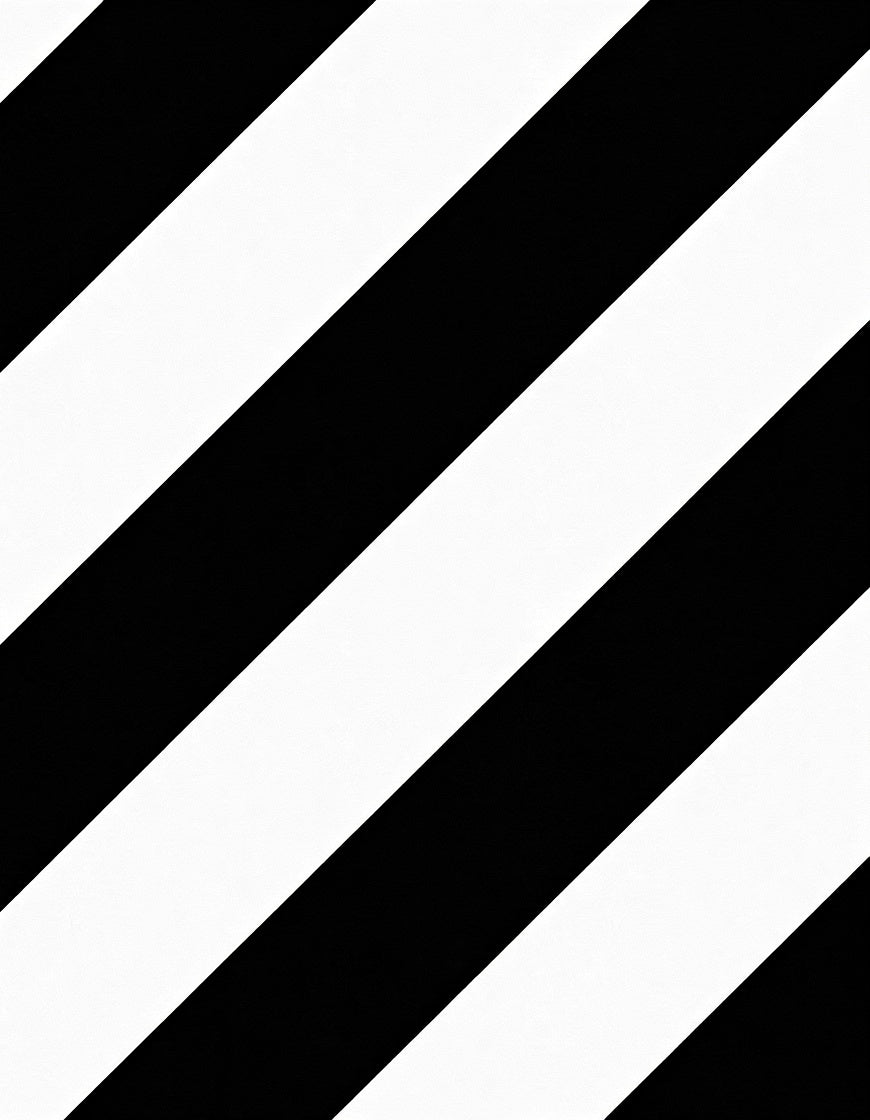 Bold Black White Diagonal Stripes Rug