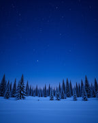 Wintery Forest Under Starry Night Sky Rug