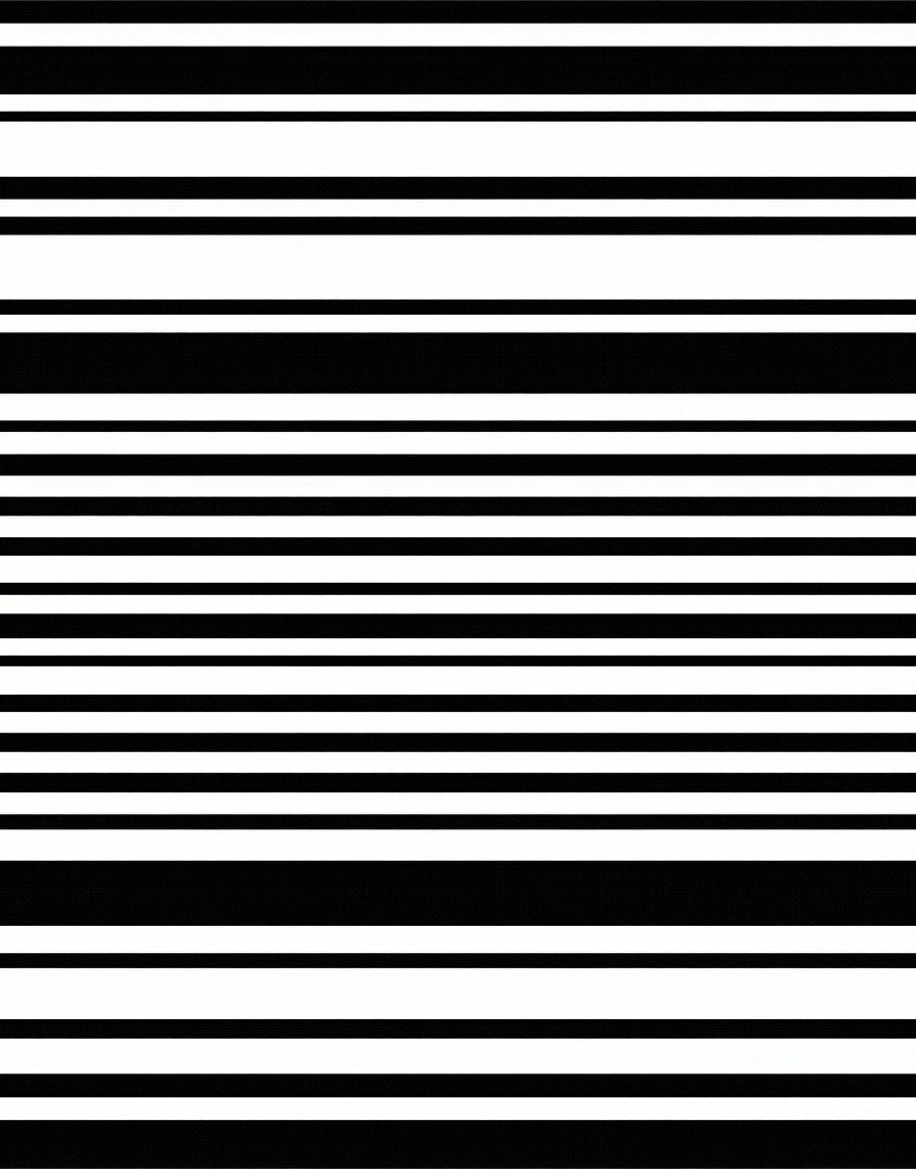 Classic Black and White Stripe Pattern Rug