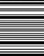 Classic Black and White Stripe Pattern Rug