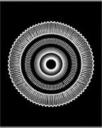 Concentric Circular Geometric Pattern Rug