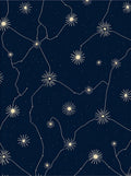 Celestial Line Drawing Constellation Design Rug