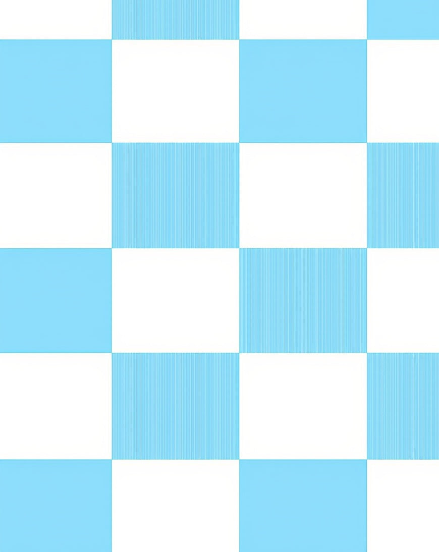Checked Pattern With Blue Stripes Rug