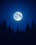 Midnight Forest Moon Stars Rug