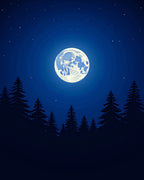 Midnight Forest Moon Stars Rug