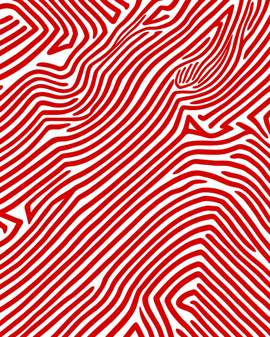 Bold Red Zebra Stripe Rug