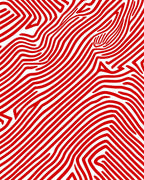 Bold Red Zebra Stripe Rug