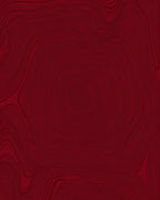 Dark Red Swirling Line Pattern Rug