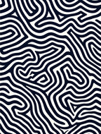 Abstract Black White Organic Lines Rug