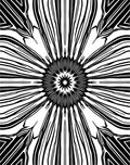 Bold Black Radial Starburst Pattern Rug