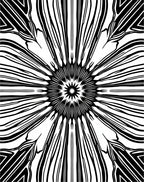 Bold Black Radial Starburst Pattern Rug