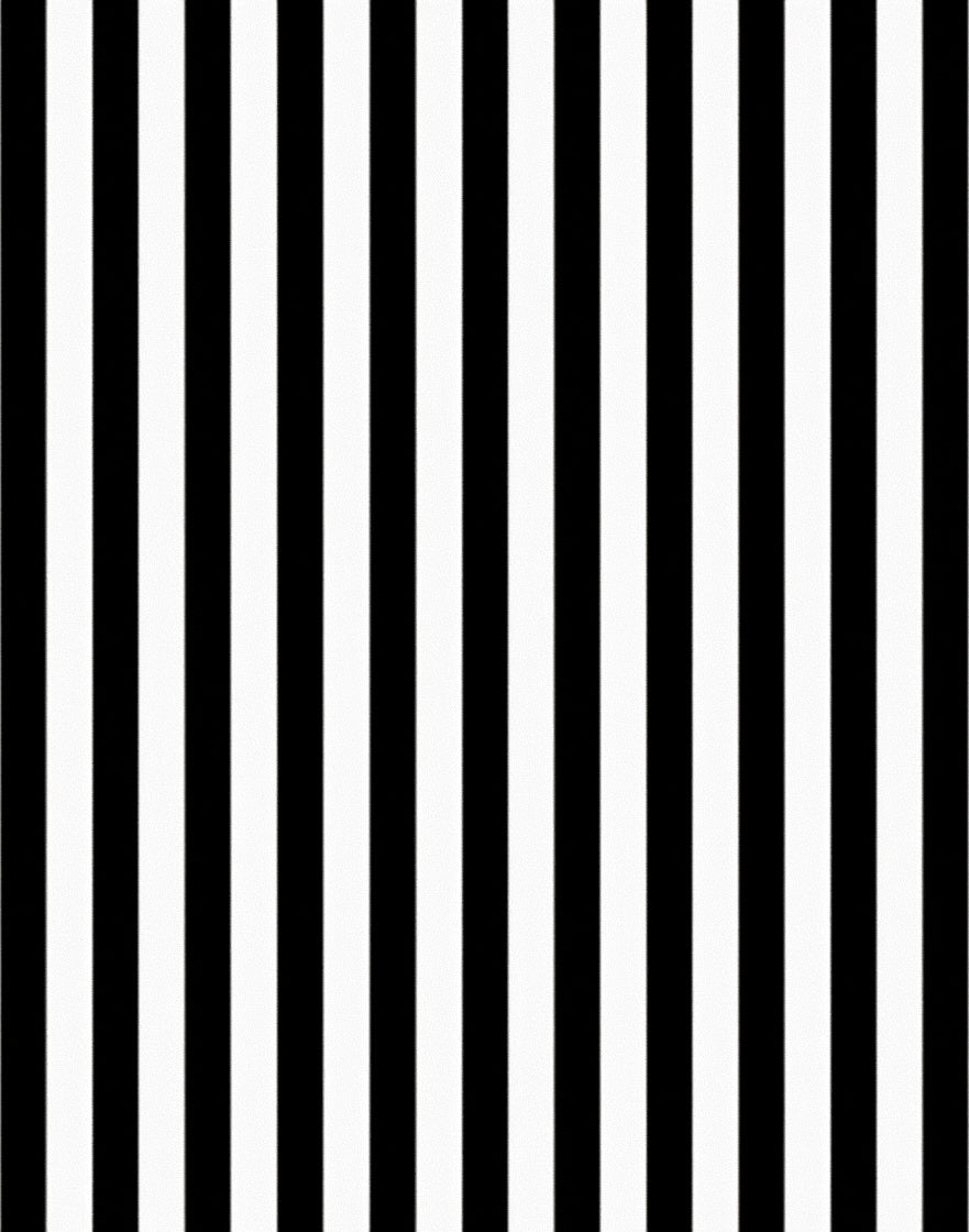 Classic Black White Vertical Stripes Rug