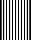 Classic Black White Vertical Stripes Rug