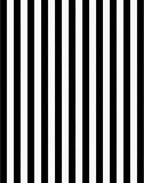Classic Black White Vertical Stripes Rug