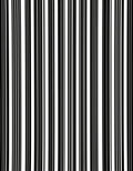 Bold Black White Stripe Pattern Rug