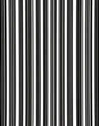 Bold Black White Stripe Pattern Rug
