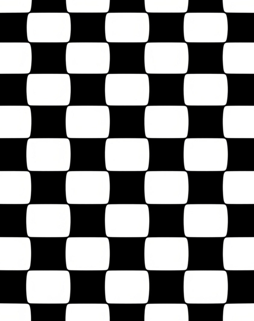 Black and White Soft Checkered Pattern Rug