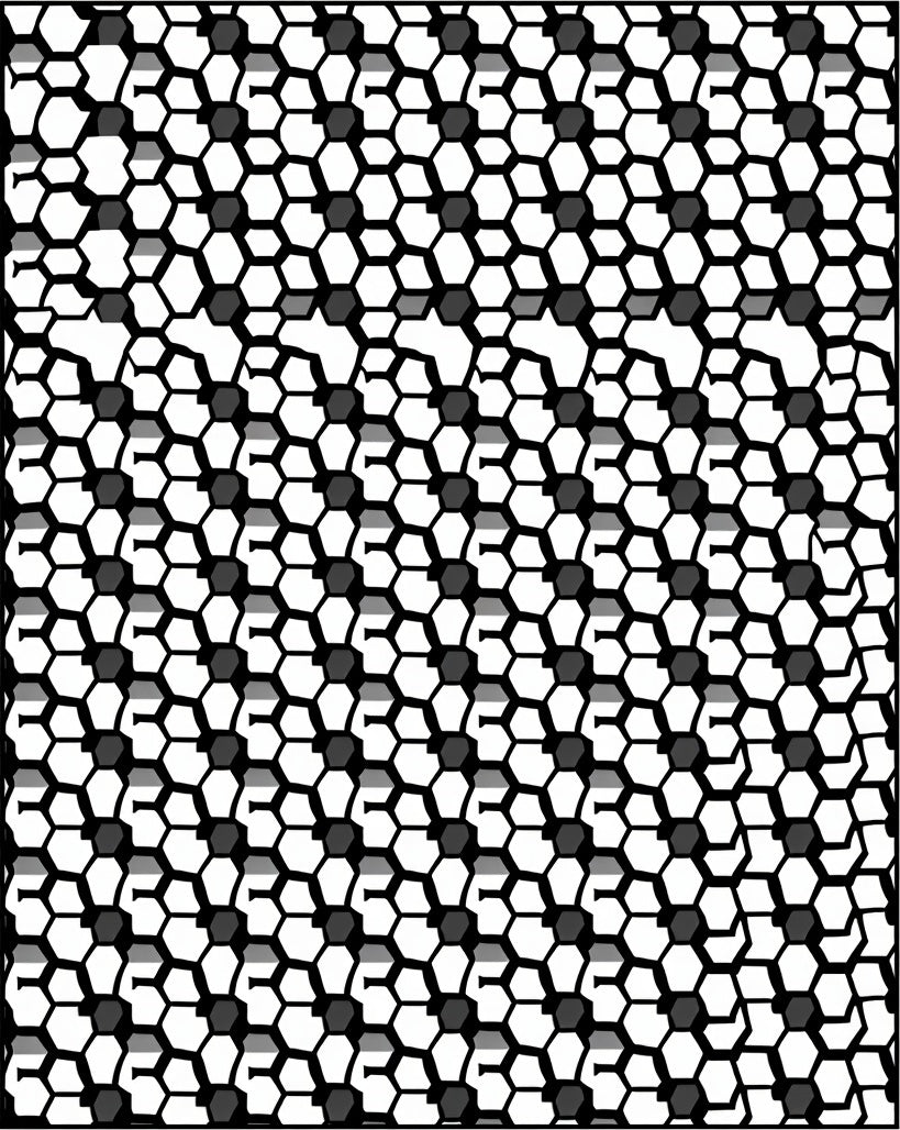 Monochrome Geometric Hexagon Art Rug