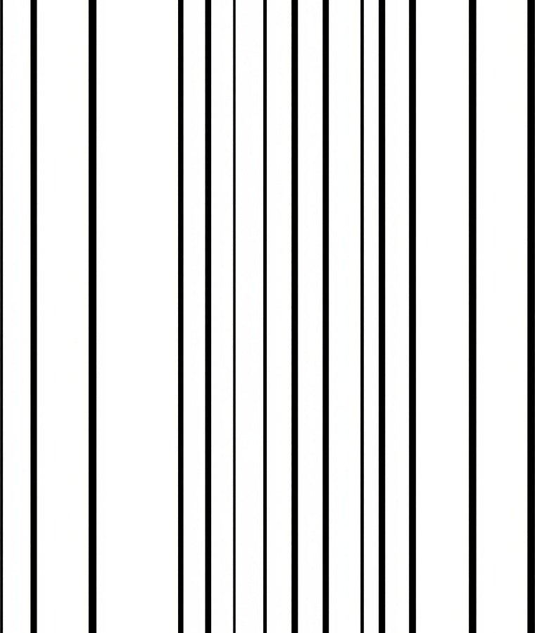 Bold Linear Black And White Stripes Rug