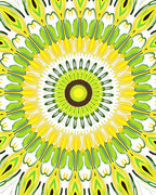 Radiant Green Yellow Sunburst Medallion Rug