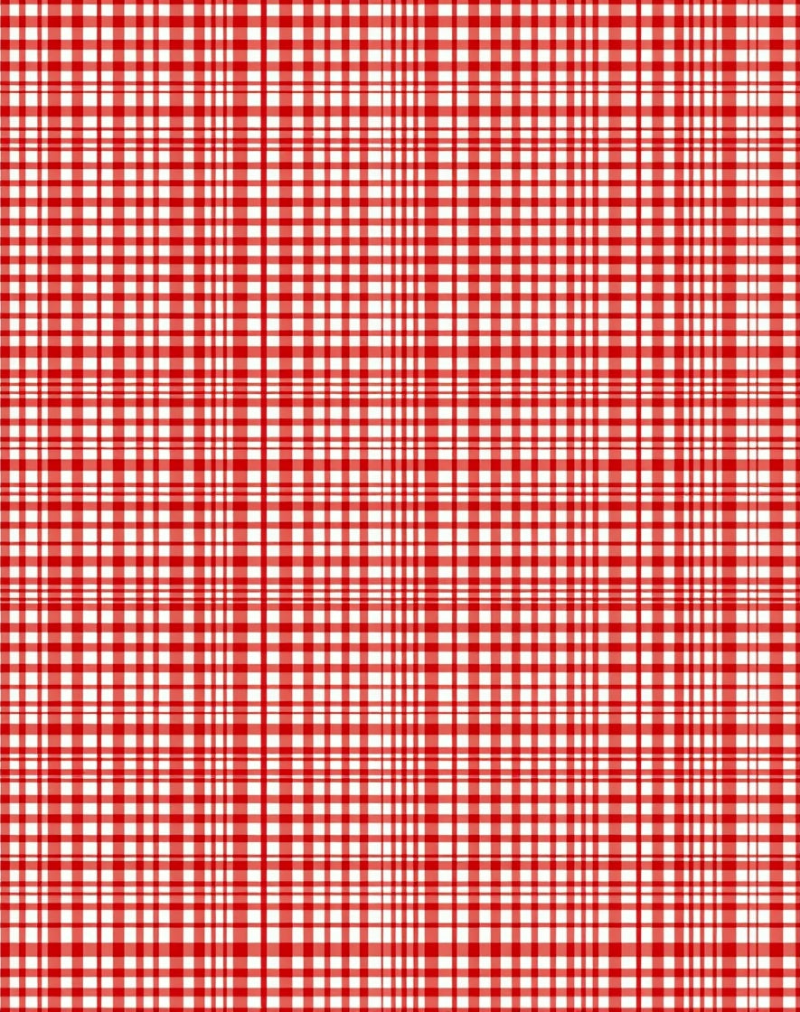 Classic Red White Plaid Tartan Rug