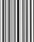 Bold Vertical Stripes Geometric Pattern Rug