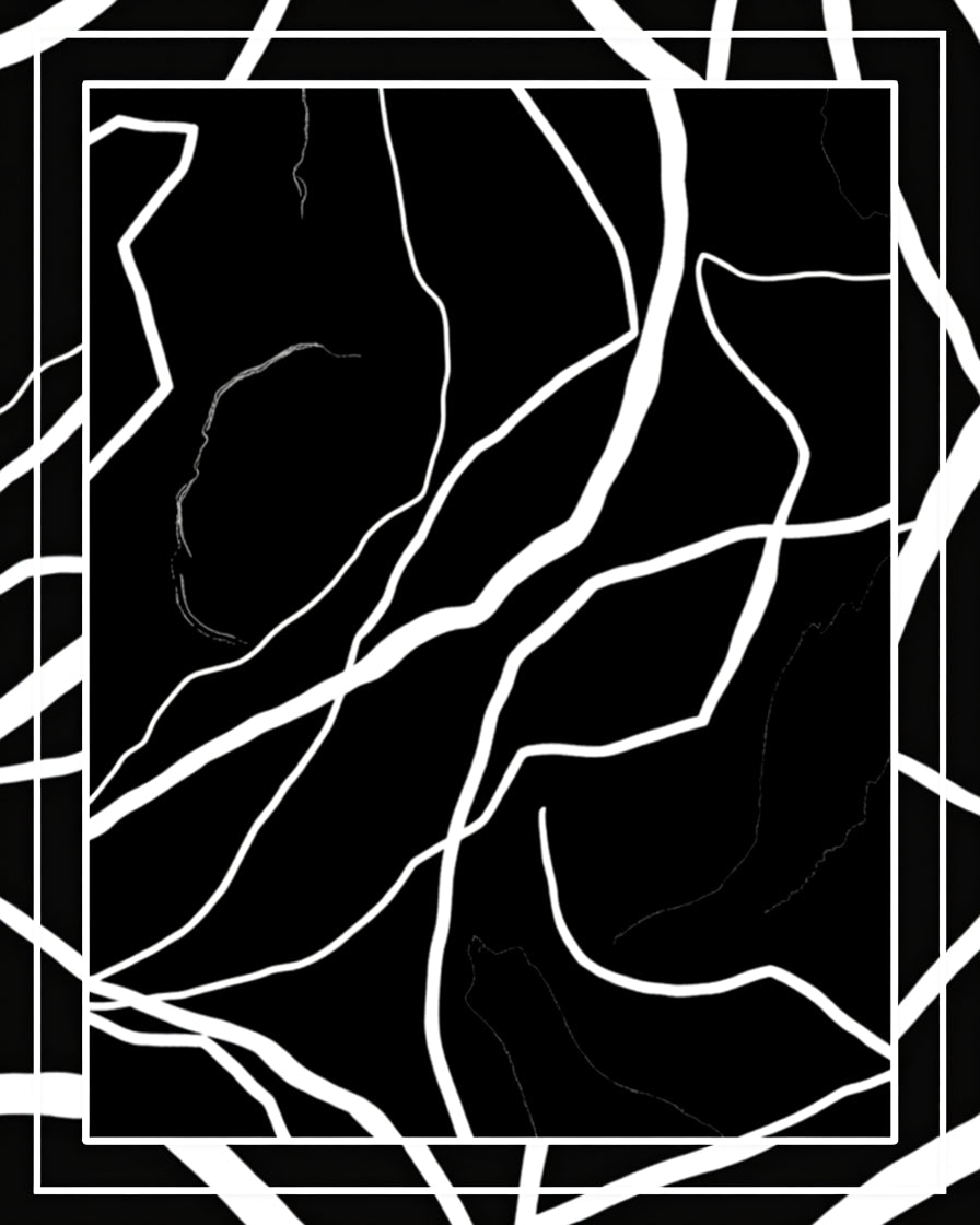 Abstract Black White Line Pattern Rug