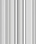 Bold Vertical Striped Design Rug