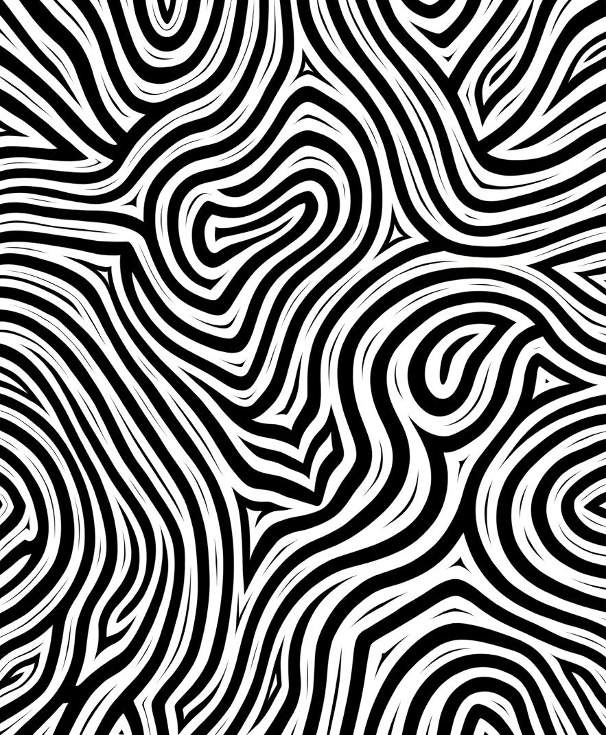 Bold Black White Abstract Swirls Rug