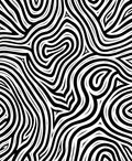 Bold Black White Abstract Swirls Rug