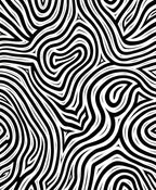 Bold Black White Abstract Swirls Rug