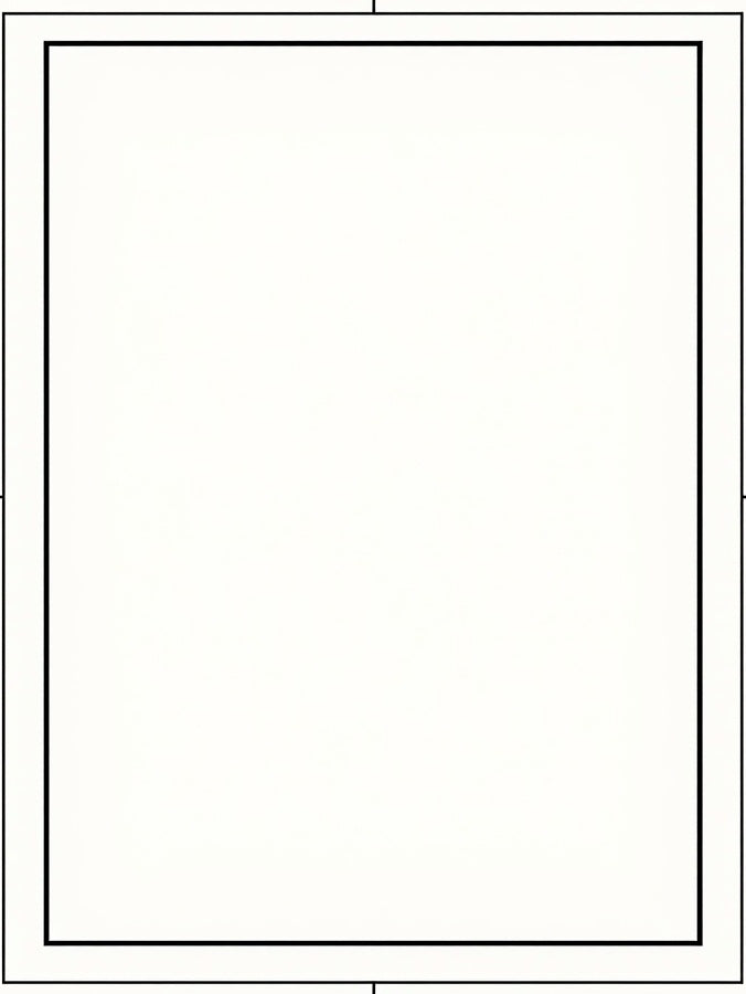 Classic Black and White Border Design Rug