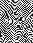 Abstract Black White Swirl Pattern Rug