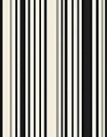 Bold Stripe Graphic Pattern Rug