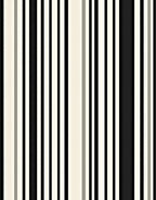 Bold Stripe Graphic Pattern Rug