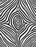 Bold Black White Striped Pattern Rug