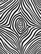Bold Black White Striped Pattern Rug