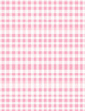 Soft Pink Gingham Pattern Rug