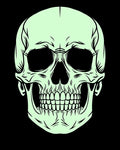 Pale Green Skull Outline Rug
