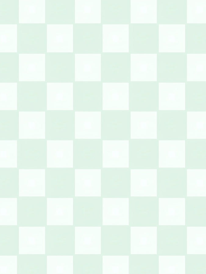 Soft Checkered Pattern Rug
