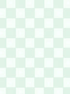 Soft Checkered Pattern Rug