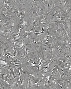 Abstract Black White Wavy Lines Rug