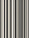 Minimalist Black White Stripe Pattern Rug